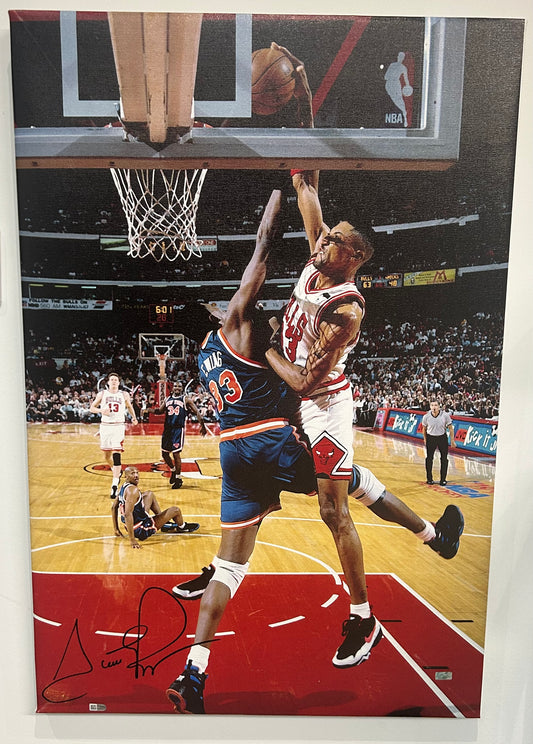 Scottie Pippen Signed Chicago Bulls Canvas Framed