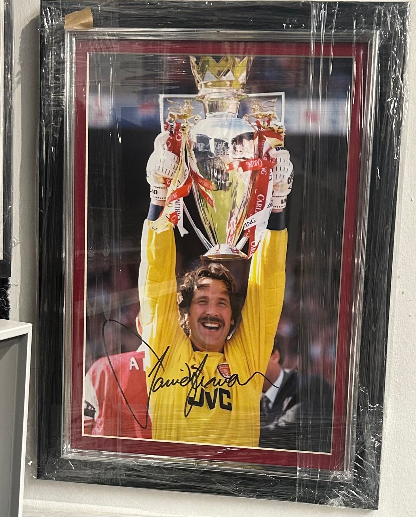 David Seaman Signed England Photo Framed