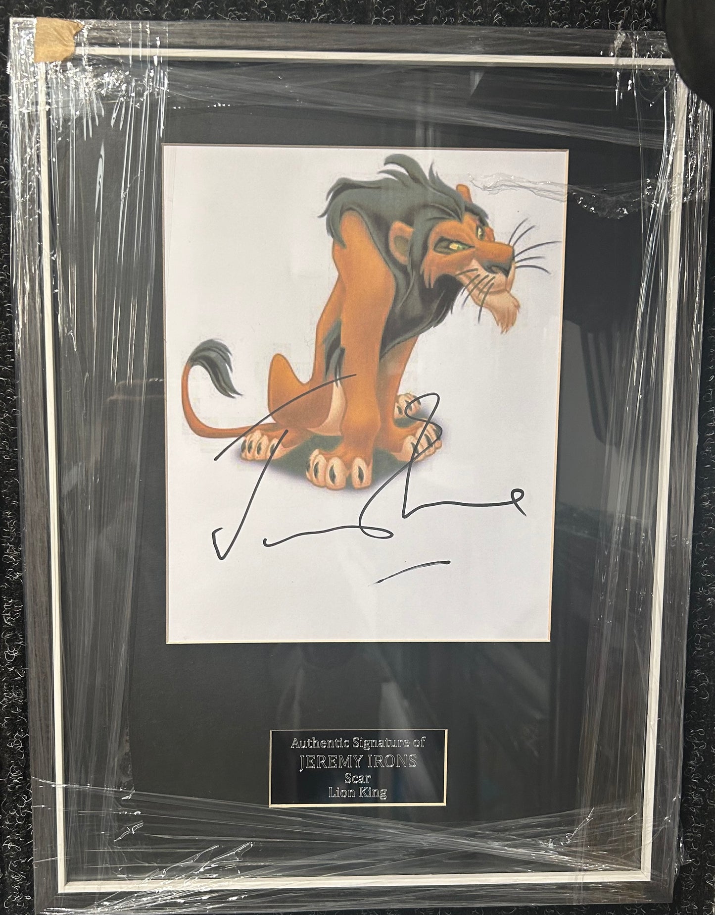 "Scar" Jeremy Irons Signed Lion King Photo Framed